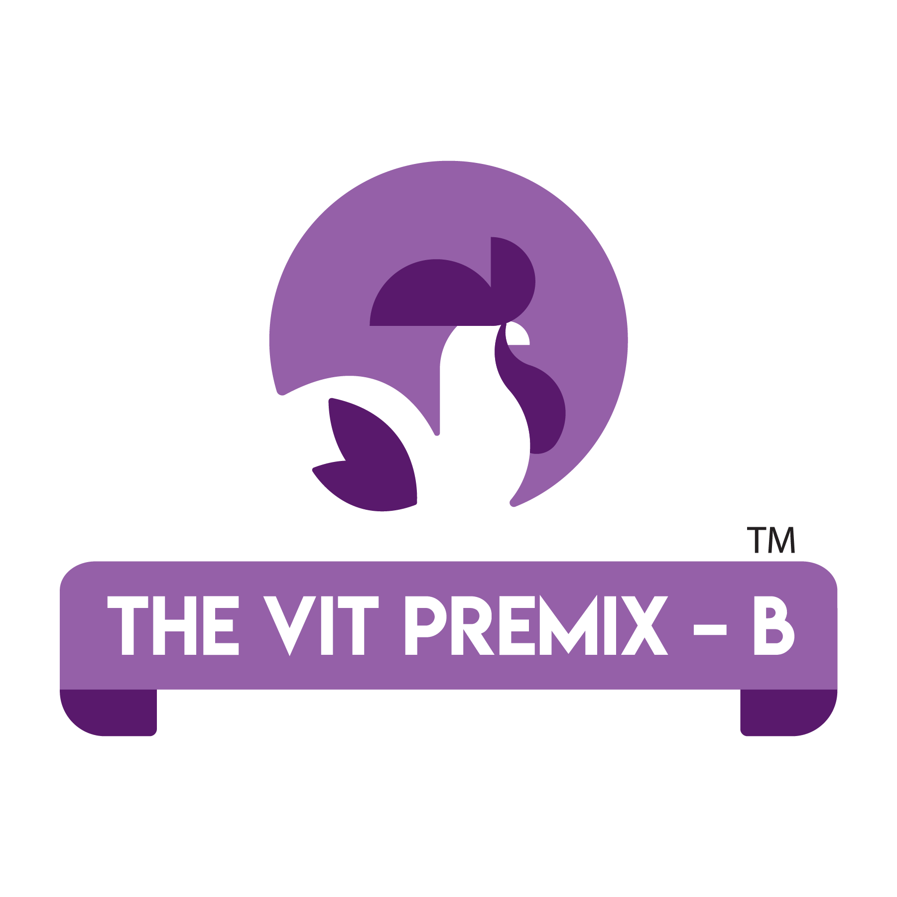 The Vit Premix - B