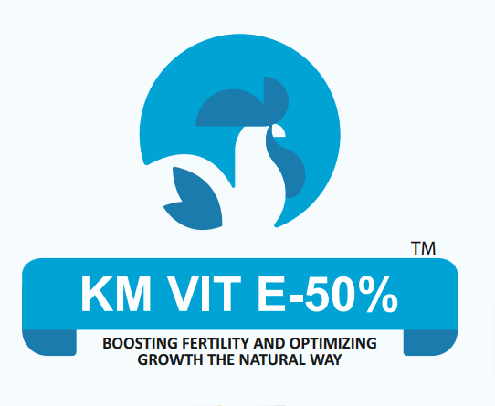 The Vit Premix - B